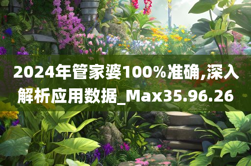 2024年管家婆100%准确,深入解析应用数据_Max35.96.26