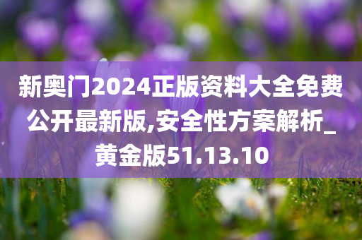 新奥门2024正版资料大全免费公开最新版,安全性方案解析_黄金版51.13.10