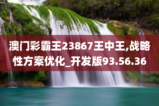 澳门彩霸王23867王中王,战略性方案优化_开发版93.56.36