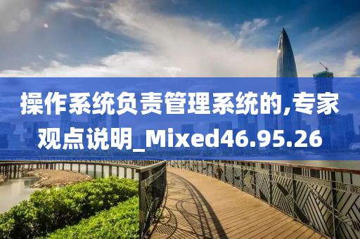 操作系统负责管理系统的,专家观点说明_Mixed46.95.26