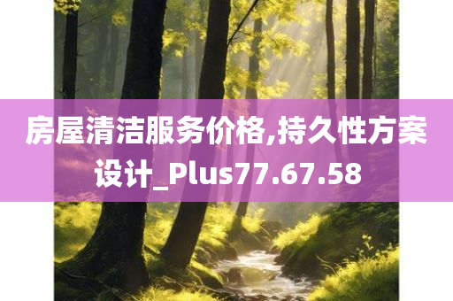 房屋清洁服务价格,持久性方案设计_Plus77.67.58