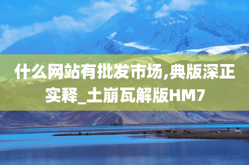 什么网站有批发市场,典版深正实释_土崩瓦解版HM7