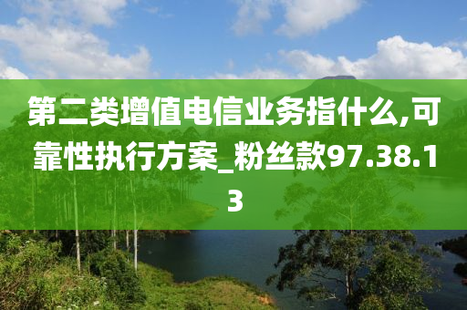 第二类增值电信业务指什么,可靠性执行方案_粉丝款97.38.13