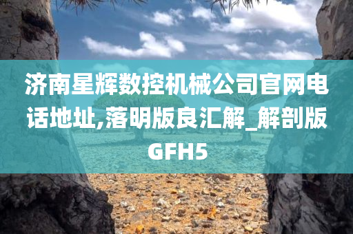 济南星辉数控机械公司官网电话地址,落明版良汇解_解剖版GFH5