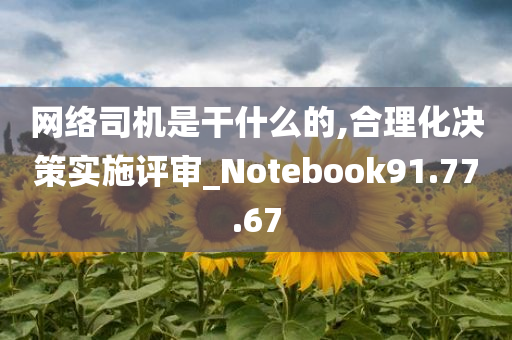 网络司机是干什么的,合理化决策实施评审_Notebook91.77.67