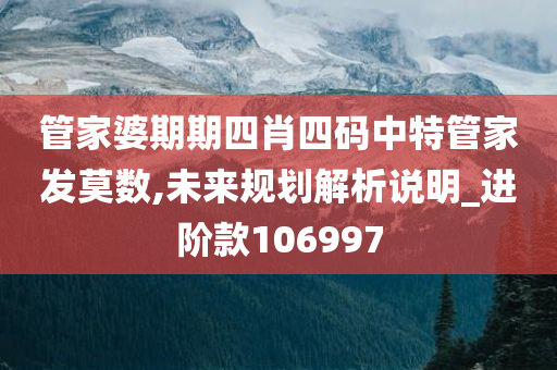 管家婆期期四肖四码中特管家发莫数,未来规划解析说明_进阶款106997