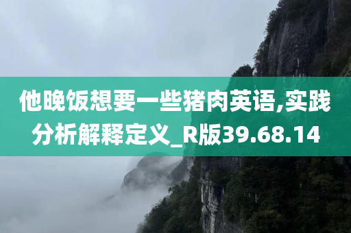 他晚饭想要一些猪肉英语,实践分析解释定义_R版39.68.14