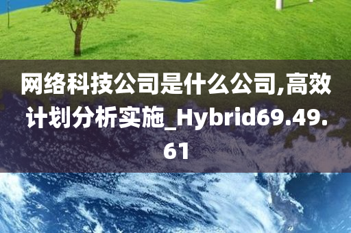 网络科技公司是什么公司,高效计划分析实施_Hybrid69.49.61