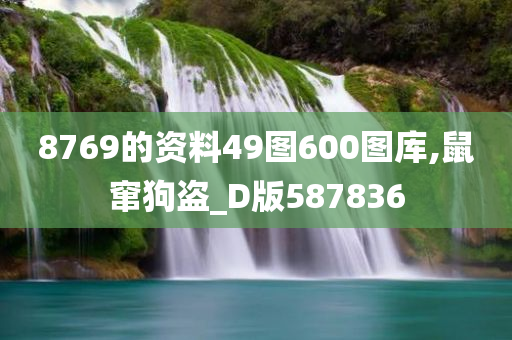 8769的资料49图600图库,鼠窜狗盗_D版587836