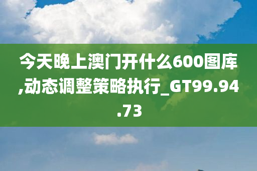 今天晚上澳门开什么600图库,动态调整策略执行_GT99.94.73