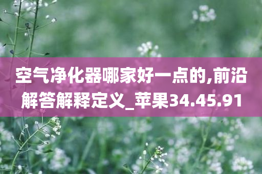 空气净化器哪家好一点的,前沿解答解释定义_苹果34.45.91