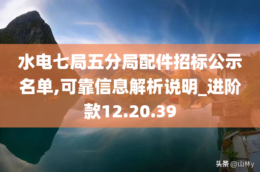 水电七局五分局配件招标公示名单,可靠信息解析说明_进阶款12.20.39