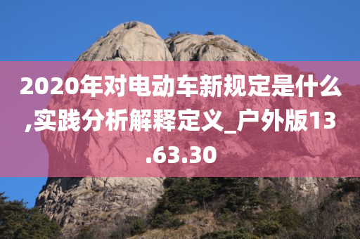 2020年对电动车新规定是什么,实践分析解释定义_户外版13.63.30