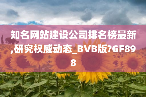 知名网站建设公司排名榜最新,研究权威动态_BVB版?GF898