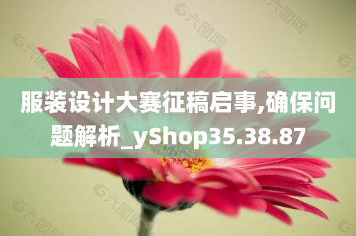 服装设计大赛征稿启事,确保问题解析_yShop35.38.87