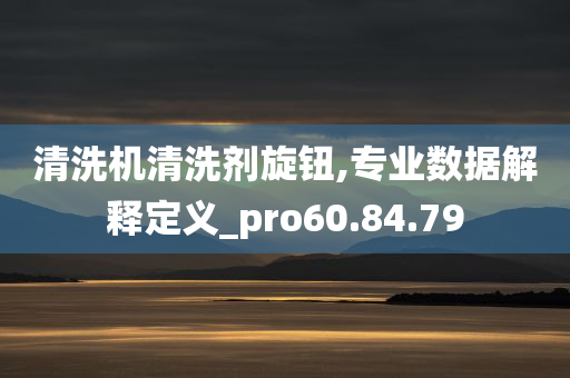 清洗机清洗剂旋钮,专业数据解释定义_pro60.84.79