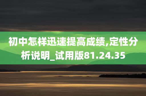 初中怎样迅速提高成绩,定性分析说明_试用版81.24.35