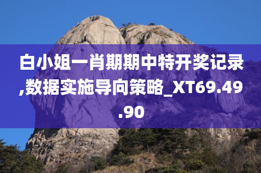 白小姐一肖期期中特开奖记录,数据实施导向策略_XT69.49.90