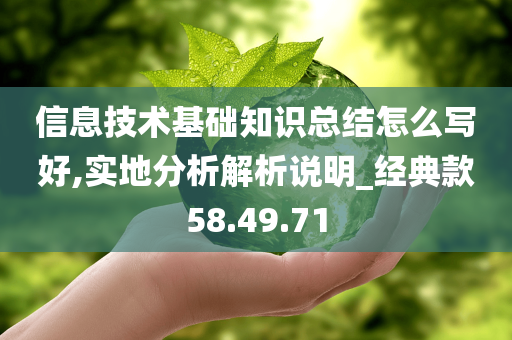 信息技术基础知识总结怎么写好,实地分析解析说明_经典款58.49.71