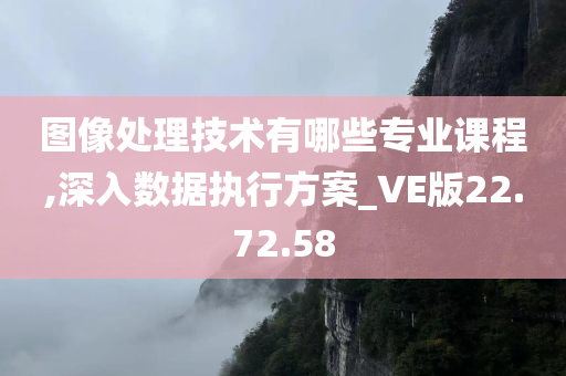 图像处理技术有哪些专业课程,深入数据执行方案_VE版22.72.58