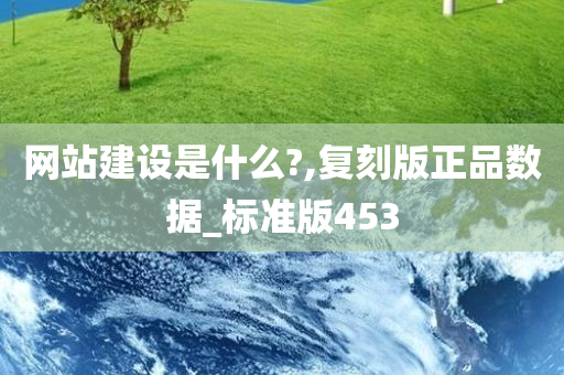 网站建设是什么?,复刻版正品数据_标准版453