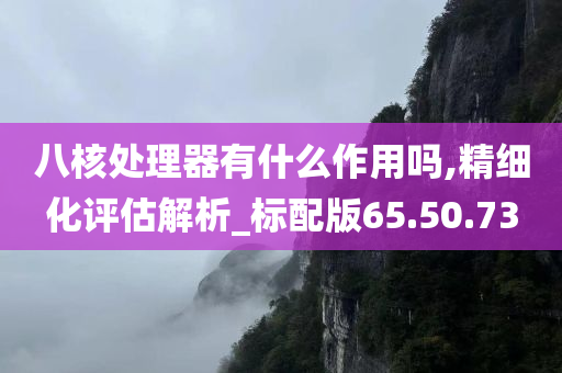 八核处理器有什么作用吗,精细化评估解析_标配版65.50.73