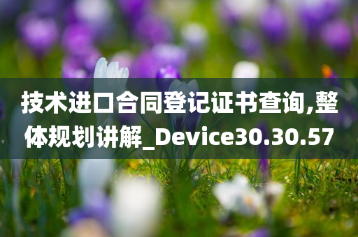 技术进口合同登记证书查询,整体规划讲解_Device30.30.57