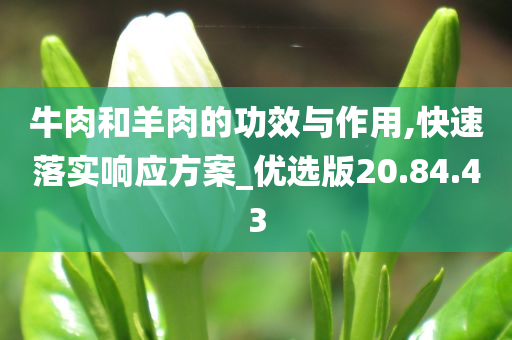 牛肉和羊肉的功效与作用,快速落实响应方案_优选版20.84.43