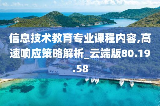 信息技术教育专业课程内容,高速响应策略解析_云端版80.19.58