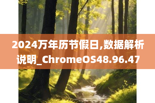 2024万年历节假日,数据解析说明_ChromeOS48.96.47