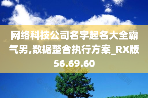 网络科技公司名字起名大全霸气男,数据整合执行方案_RX版56.69.60