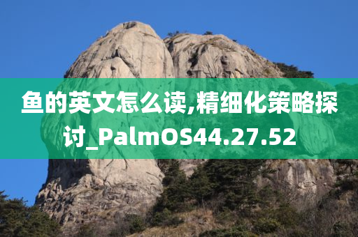 鱼的英文怎么读,精细化策略探讨_PalmOS44.27.52