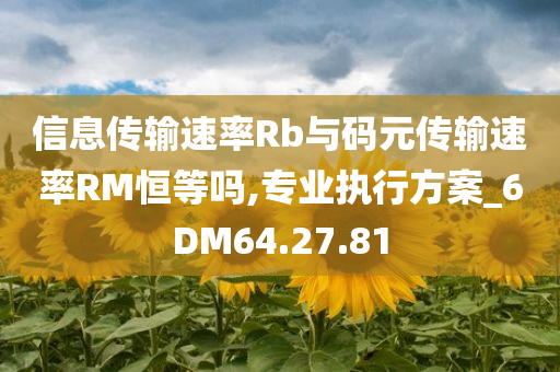 信息传输速率Rb与码元传输速率RM恒等吗,专业执行方案_6DM64.27.81