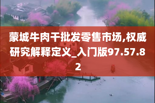 蒙城牛肉干批发零售市场,权威研究解释定义_入门版97.57.82