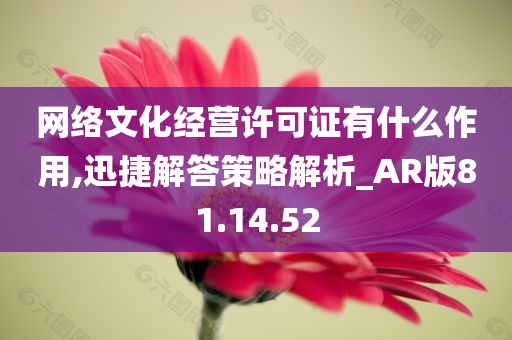 网络文化经营许可证有什么作用,迅捷解答策略解析_AR版81.14.52