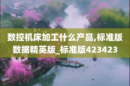 数控机床加工什么产品,标准版数据精英版_标准版423423