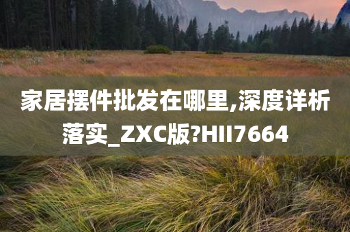 家居摆件批发在哪里,深度详析落实_ZXC版?HII7664