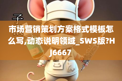 市场营销策划方案格式模板怎么写,动态说明领域_SWS版?HJ6667