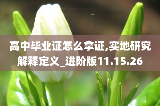 高中毕业证怎么拿证,实地研究解释定义_进阶版11.15.26