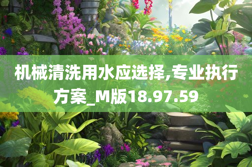 机械清洗用水应选择,专业执行方案_M版18.97.59