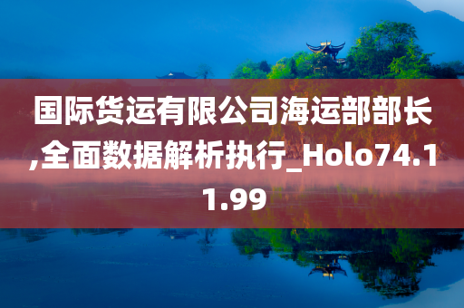 国际货运有限公司海运部部长,全面数据解析执行_Holo74.11.99