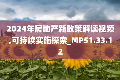 2024年房地产新政策解读视频,可持续实施探索_MP51.33.12