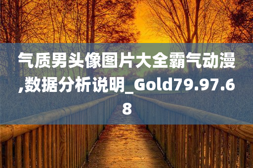 气质男头像图片大全霸气动漫,数据分析说明_Gold79.97.68