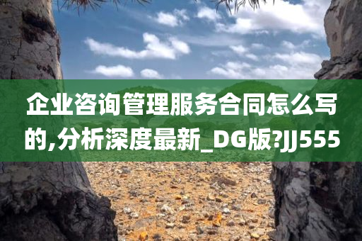 企业咨询管理服务合同怎么写的,分析深度最新_DG版?JJ555