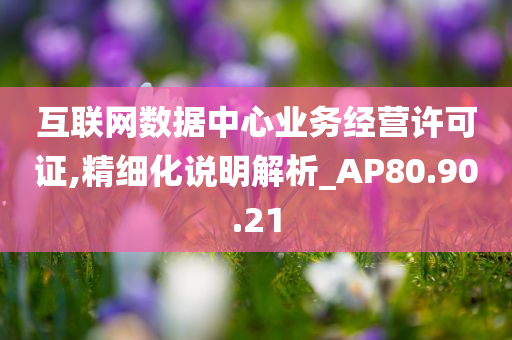 互联网数据中心业务经营许可证,精细化说明解析_AP80.90.21