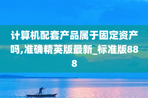 计算机配套产品属于固定资产吗,准确精英版最新_标准版888