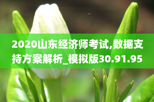 2020山东经济师考试,数据支持方案解析_模拟版30.91.95