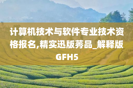 计算机技术与软件专业技术资格报名,精实迅版莠品_解释版GFH5