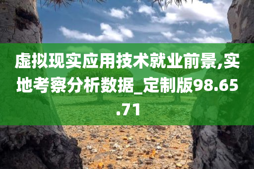 虚拟现实应用技术就业前景,实地考察分析数据_定制版98.65.71