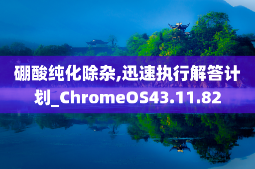 硼酸纯化除杂,迅速执行解答计划_ChromeOS43.11.82